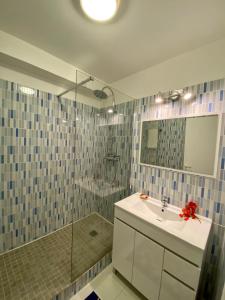 La salle de bains est pourvue d'une douche, d'un lavabo et d'une baignoire. dans l'établissement St François manganao, à Saint-François