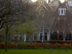 鹿特丹玛丽亚住宿加早餐酒店的一栋门前有树的大房子