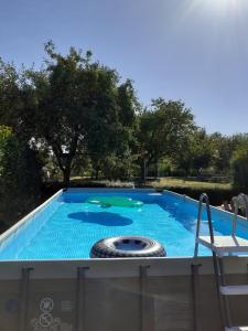 a swimming pool with a table and a chair next to it at La bergerie et Les Blés Dorés in Palleau