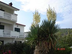 Fotografie z fotogalerie ubytování Antica Borić 139 v destinaci Lopar