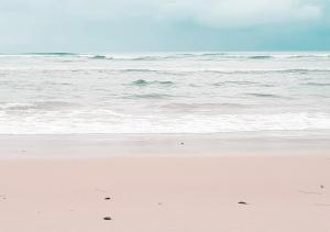 En strand vid eller i närheten av lägenhetshotellet