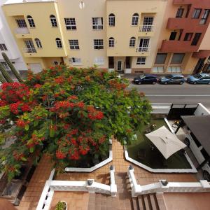 The building in which a hosteleket is located