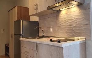 a kitchen with a sink and a stainless steel refrigerator at Vasiliki House in Sarti
