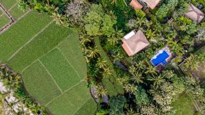 Fotografie z fotogalerie ubytování Alam Shanti Ubud v Ubudu