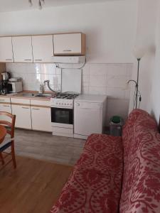 Kuchyň nebo kuchyňský kout v ubytování Apartment Greta