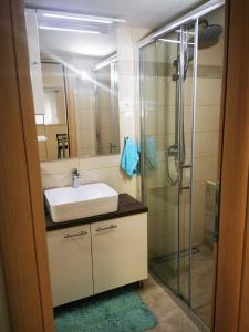 a bathroom with a sink and a glass shower at Studio Jadro in Selce