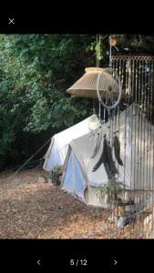 a tent with a bird in a cage next to it at Into the Green Glamping- Beech in Markt Nordheim