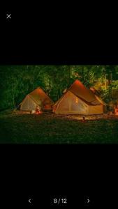 two tents sitting on the grass in the grass at Into the Green Glamping- Beech in Markt Nordheim