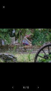 a picture of a yard with a fence and a wheel at Into the Green Glamping- Beech in Markt Nordheim
