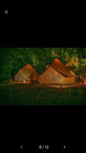 two tents sitting on the grass in the grass at Into the Green Glamping- Maple in Markt Nordheim