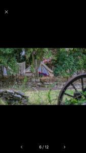 a picture of a yard with a fence and a wheel at Into the Green Glamping- Maple in Markt Nordheim +4 photos