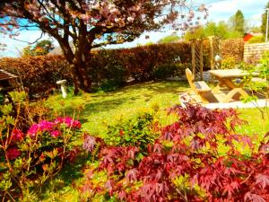 Afbeelding uit fotogalerij van Angel Cottage in Drymen