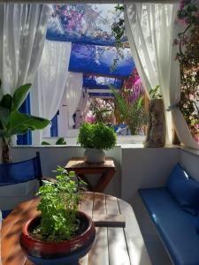 Oleskelutila majoituspaikassa Doron Hotel Delfini