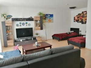 a living room with a couch and a flat screen tv at Apartment Paradies in Öhringen