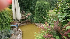 Gallery image of Domek Przy Stawie in Sławatycze