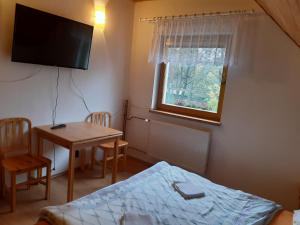 a bedroom with a bed and a table and a television at Apartmány Jarmila in Dolní Moravice