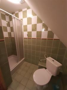 a bathroom with a toilet and a shower at Apartmány Jarmila in Dolní Moravice