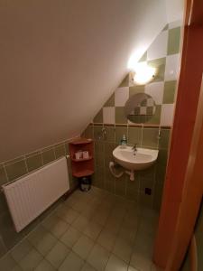 a small bathroom with a sink and a mirror at Apartmány Jarmila in Dolní Moravice