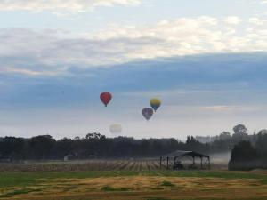 RothburyにあるHunter Habit Cottagesの野原上空を飛ぶ熱気球の集団