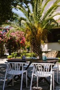 a table and two chairs and a palm tree at Hotel Kavala - Boutique Hotel in Prinos