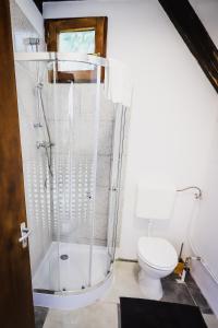 bagno con doccia e servizi igienici. di Csónakház a Tiszadob
