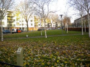 a park with trees and leaves on the grass at Bed & Breakfast Maria in Rotterdam