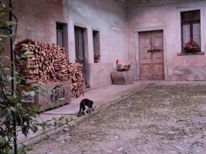 Miasino'daki Guest House Seme Di Faggio tesisine ait fotoğraf galerisinden bir görsel