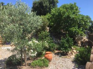 Vonkajšia záhrada v ubytovaní Villa Gardenia mit Pool und traumhaftem Meerblick