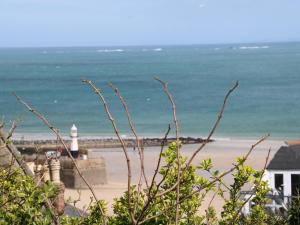 a view of a beach with a lighthouse and the ocean at Little Valley View in Hayle