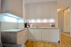 Kuchyňa alebo kuchynka v ubytovaní Apartament harmonic aparts