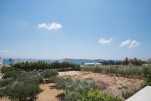 a plantation of olive trees with the ocean in the background at Flora & Agelos Studios in Chrissi Akti