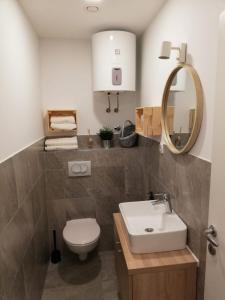 a bathroom with a sink and a toilet and a mirror at Studio apartman Fleiss in Samobor