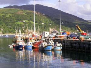 a group of boats docked at a dock in the water at The Ferry Boat Inn in Ullapool