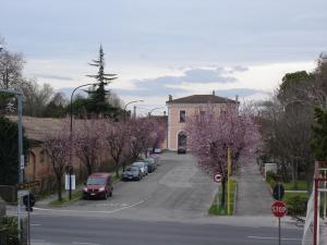 The surrounding neighborhood or a neighborhood close to a szállodákat