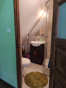 ウェバにあるLetni Wiatr Willa Retroのバスルーム(洗面台、トイレ、シャワー付)