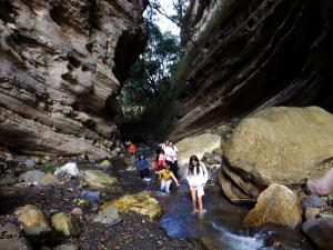 a group of people standing in the water in a river at Portal de Piedra in Palma Sola