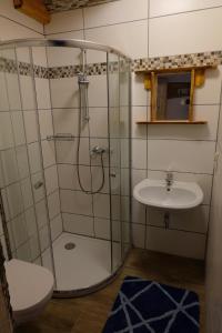 uma casa de banho com um chuveiro e um lavatório. em Biohof Grissenberger em Abetzdorf
