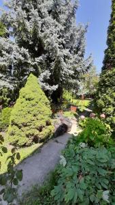 a garden with bushes and trees and a path at MHC Apartman in Kaposvár