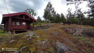 a cow standing next to a small building at Suigard Smia in Sauland