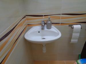 um lavatório branco numa casa de banho com um rolo de papel higiénico em GoldApartment em Budapeste