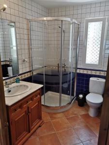 a bathroom with a shower and a sink and a toilet at Casa Ayo in Frigiliana