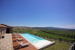 a swimming pool with a view of a vineyard at Agriturismo Casale Dello Sparviero in Castellina in Chianti