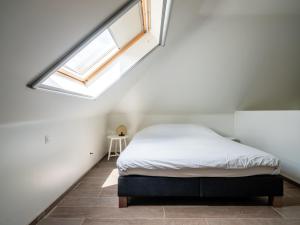 - une chambre avec un lit et une lucarne dans l'établissement B&B Welness Sport and Pleasure, à Laarne