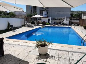une grande piscine bleue avec une plante en pot à côté de celle-ci dans l'établissement Pantanha Apartment by Trip2Portugal, à Nelas
