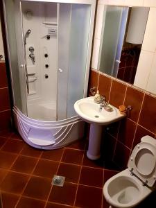 Et badeværelse på Apartman Sergej 2