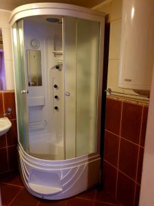 a shower with a glass door in a bathroom at Apartman Sergej 2 in Soko Banja