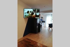 sala de estar con TV de pantalla plana en la pared en CHARMANT APPARTEMENT AVEC TERRASSE, en Pont-de-lʼIsère