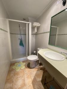 y baño con aseo, lavabo y ducha. en Posada de Seña, en Seña