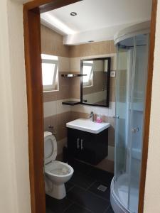 a bathroom with a toilet and a sink and a shower at APARTMANI MOROVI DVORI in Drage +11 photos