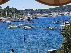 a bunch of boats are docked in a marina at Apartment Adriatic Sea View Zoe in Rovinj